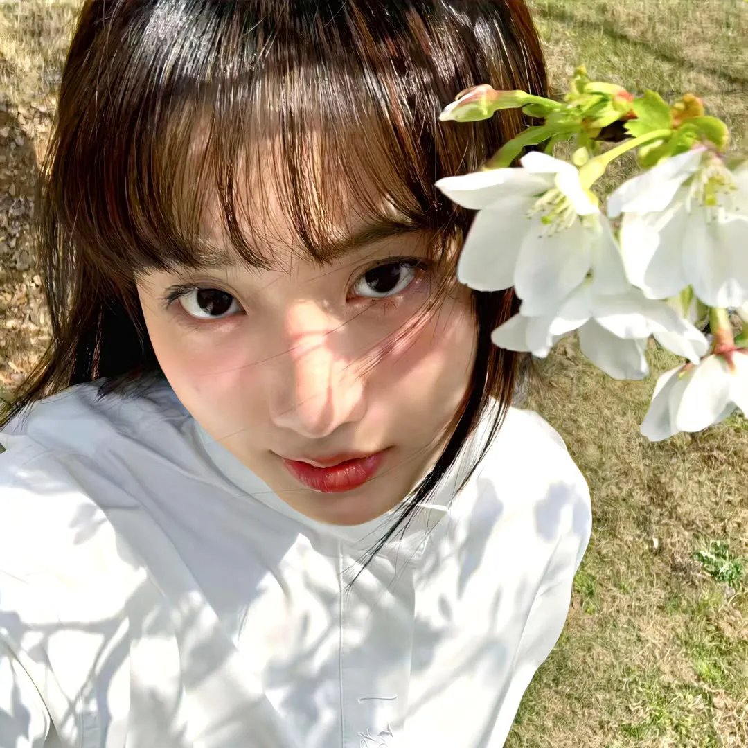 樱花往事 海报