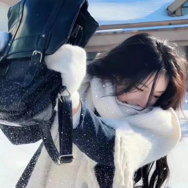 雪国列车记 海报